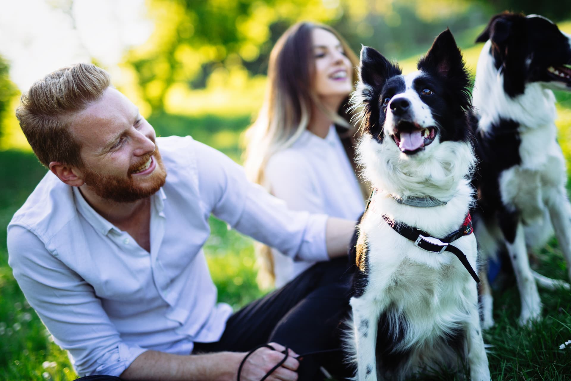 Para z border collie na spacerze